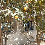 بيت للعطل Campagne Et